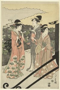 源氏公子和虞高 作者 西村洋八