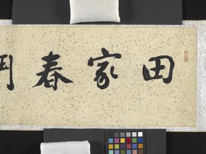 春天里农民的战斗 作者 张冲