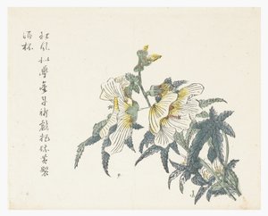 芥菜籽园 作者 仇黄（后）