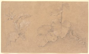 植物学家 作者 克里斯汀·科布（ChristenKøbke）