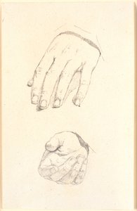 手的研究 作者 克里斯汀·科布（ChristenKøbke）