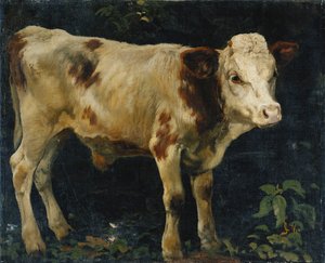 公牛犊牛，1876年