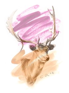 雄鹿头 - Cerise Sienna，2004 年（纸上油彩和 Conte） 作者 克里斯蒂安·福尔