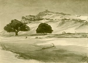 埃及阿斯旺，1898年。   作者 克里斯蒂安·威廉·艾尔斯