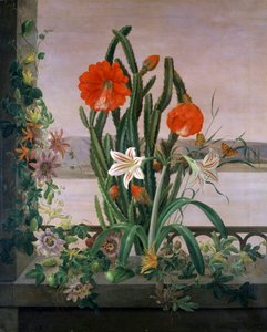 窗台上的仙人掌、百合和西番莲静物。克里斯蒂娜-玛丽-洛夫曼德（1803-1872 年）的画作。私人收藏。 作者 克里斯汀·洛夫曼德