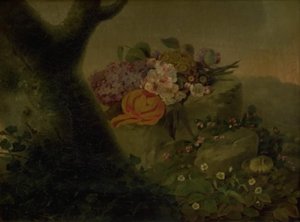 岩石上的花 作者 克里斯汀·洛夫曼