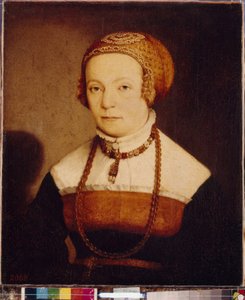 女人肖像克里斯托夫-安伯格（Christoph Amberger，约 1500-1562 年）的作品，木板油画，1548 年之后。德国艺术