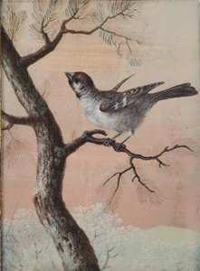 树枝上的山雀 作者 克里斯托夫·路德维希·阿格里科拉