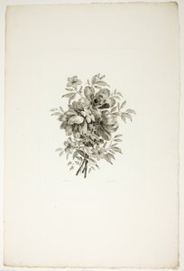 罂粟花束，选自《不同花束集》，由让-皮莱芒发明和绘制，P. C. 卡诺雕刻 作者 克里斯托弗诺顿