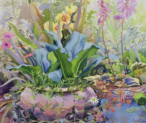 花园与植物，2000（wc在纸上） 作者 克里斯托弗·莱兰