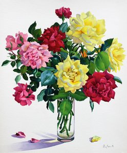 六月玫瑰（纸上水彩） 作者 克里斯托弗·莱兰