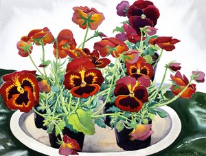 三色堇，2018（纸上水彩画）