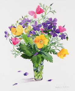 罂粟花和天竺葵（纸上的wc） 作者 克里斯托弗·莱兰