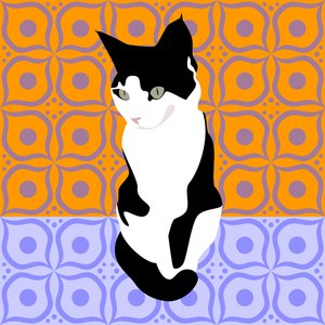 摩洛哥瓷砖上的猫