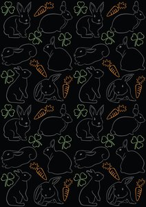 Night Bunnies 作者 克莱尔·亨特利