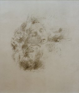 一个熟睡的孩子的头 作者 克拉拉·西沃特（Clara Siewert）