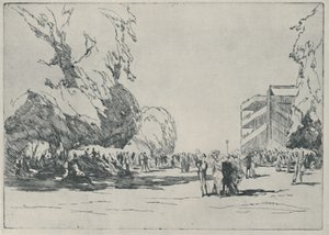 阿斯科特-围场，1914，1920