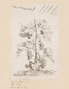 葡萄藤 作者 克劳德·梅伦