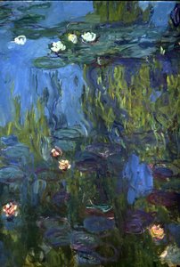 Nympheas，1914-17年 作者 Claude Monet