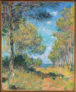 Varengeville的松树小径；阿里·德·萨潘斯·瓦伦格维尔（Allee de Sapins Varengeville），1882年 作者 克劳德·莫奈