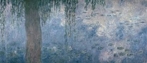 睡莲：早晨与垂柳，1914-18（右图） 作者 克劳德·莫奈