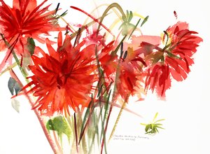 达利亚斯，2002年（水彩画）