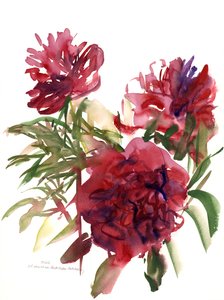 Peonies，2002（水彩画）