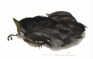 睡猫，1985年（水彩画） 作者 克劳迪娅·哈钦斯（Claudia Hutchins）