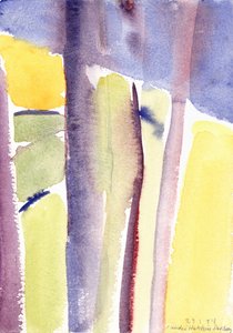 俯瞰湖泊的树木，1994年（水彩画） 作者 克劳迪娅·哈钦斯（Claudia Hutchins）