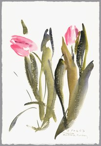 郁金香，2003（水彩画） 作者 克劳迪娅·哈钦斯（Claudia Hutchins）