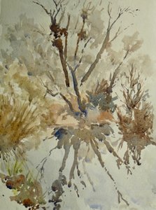 伊顿羊腿，2010 年（水彩画） 作者 克莱夫·威尔逊