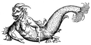 海洋恶魔 作者 康拉德（继）格斯纳