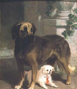 一只獒犬和一只比熊犬 作者 康拉丁·库纳乌斯（Conradyn Cunaeus）