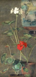 天竺葵和日本灯笼（纸上水彩） 作者 康斯坦斯·沃尔顿
