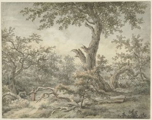 森林景观 作者 Cornelis Buys