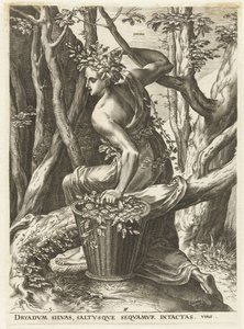 德莱厄斯
女神和仙女（系列标题） 作者 科尼利斯·科尔特（Cornelis Cort）