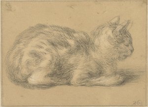 坐着的猫，在右边 作者 Cornelis Saftleven (可能)