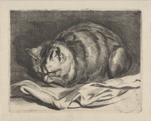 小猫 作者 科内利斯·维舍尔 (II)