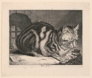 大猫 作者 科尼利斯·维舍