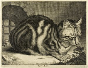 大猫 作者 科尼利斯·维舍