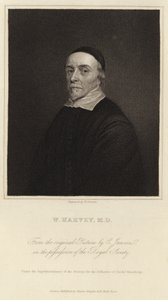 威廉哈维 作者 科尼利厄斯·詹森·范·科伦（Cornelius Janssen van Ceulen）