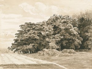 Wrottesley Hall-灌木丛：棕褐色绘画，1820年 作者 科尼利厄斯·瓦利