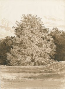 Wrottesley Hall-灌木丛：棕褐色绘画，1820年 作者 科尼利厄斯·瓦利