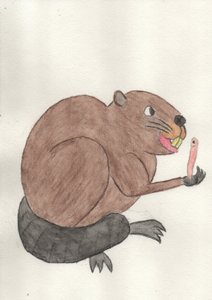 真正的友谊