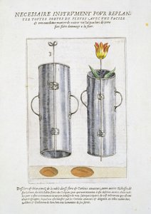 重新种植花卉的装置，来自&39;Hortus Floridus&39;，于1614-15出版
