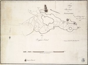 D.l. Ross 船长，FRS 海洋测量总长绘制的新加坡附近港口平面图 作者 迪·罗斯