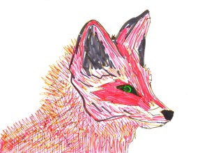 狐狸（纸上的毡尖）