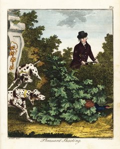 野鸡射击