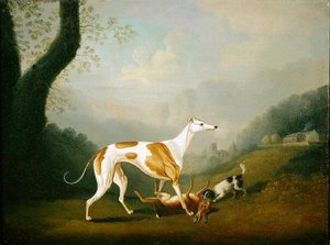 灰狗与小猎犬和死野兔（布面油画）