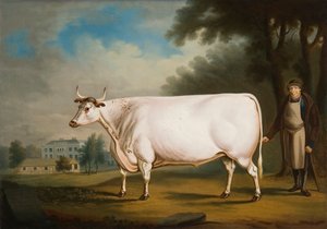楠木牛》，1824年
